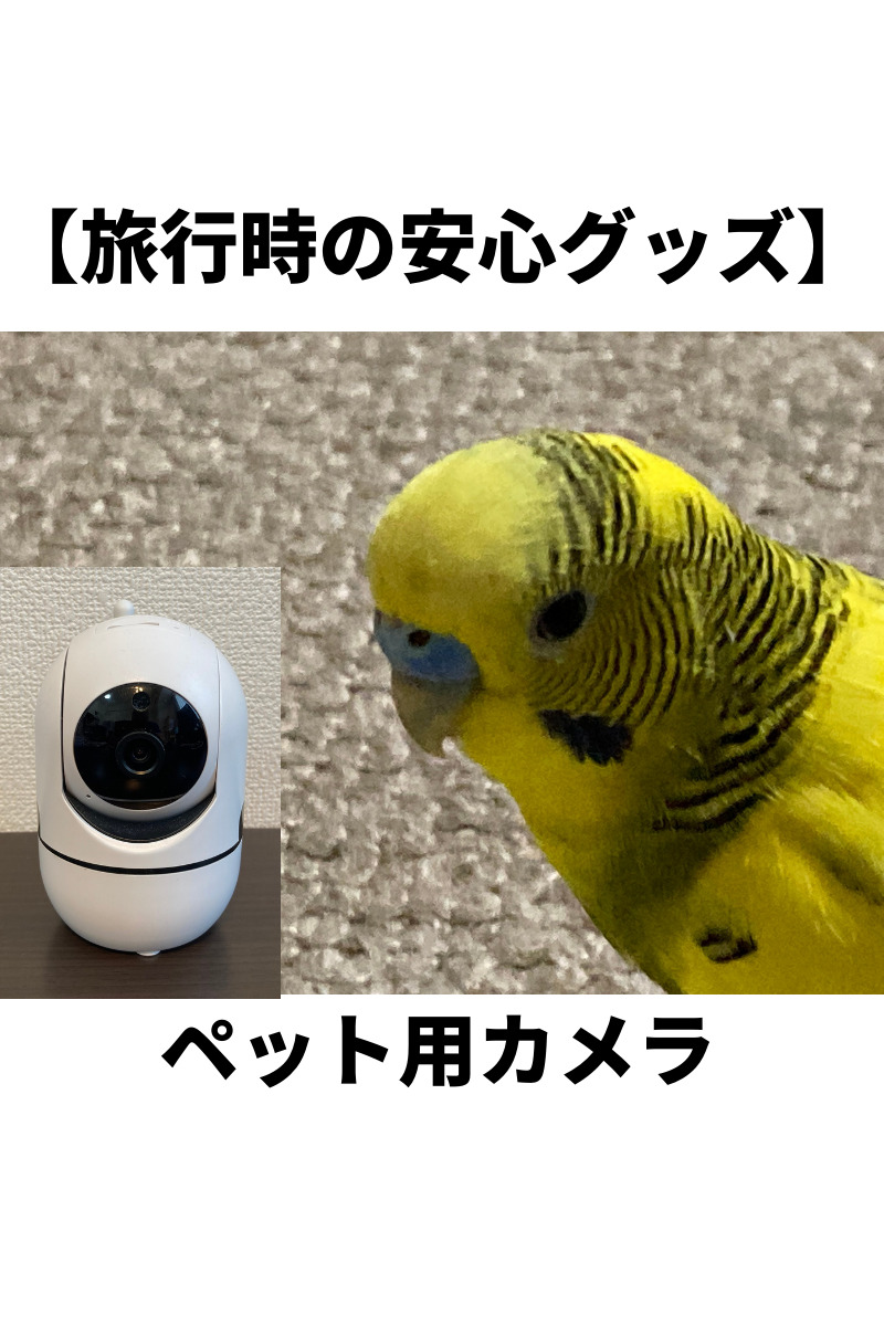 pet-0004